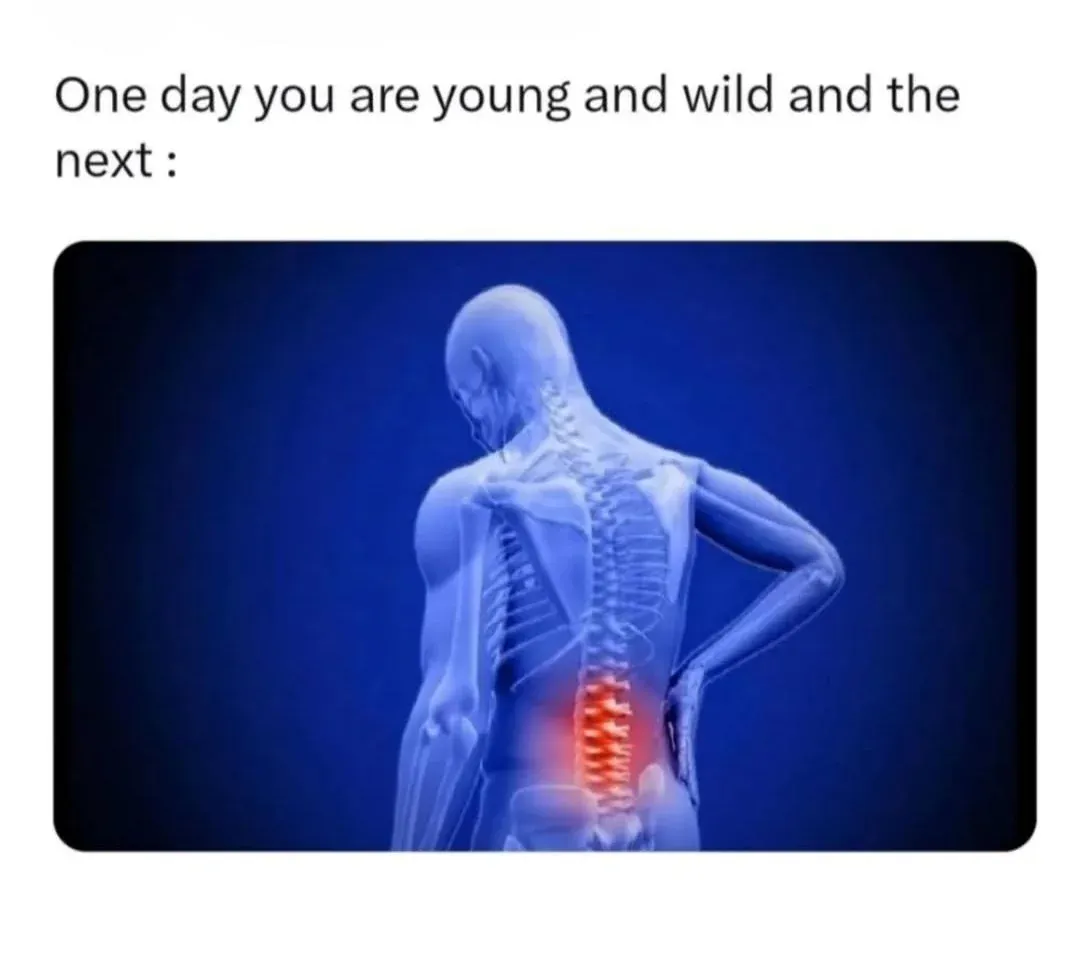 A meme reading “One day you are young and wild and the next:”, above a medical illustration of a figure holding their back, with the lower spine glowing red.